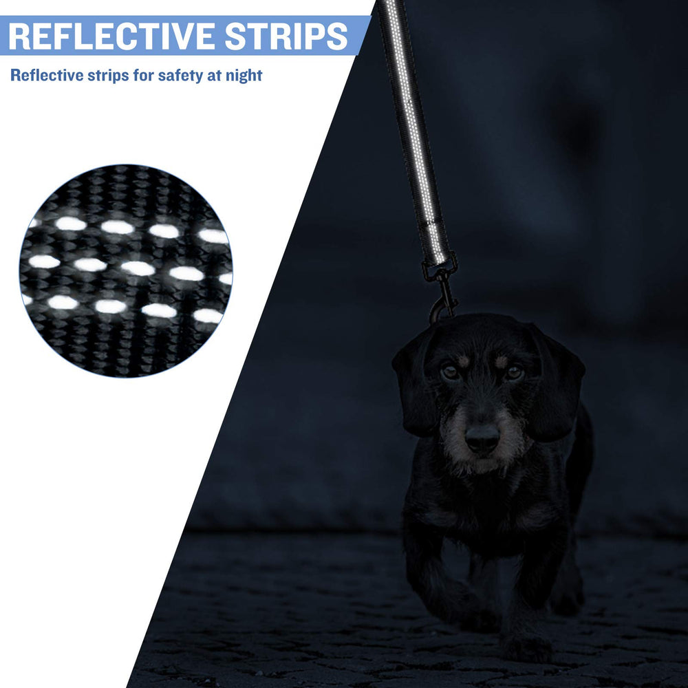 PuppyDoggy leash ideal for training and walking routines