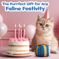 PUPROAR Birthday Cat Toy presented as a playful, photo-worthy surprise.