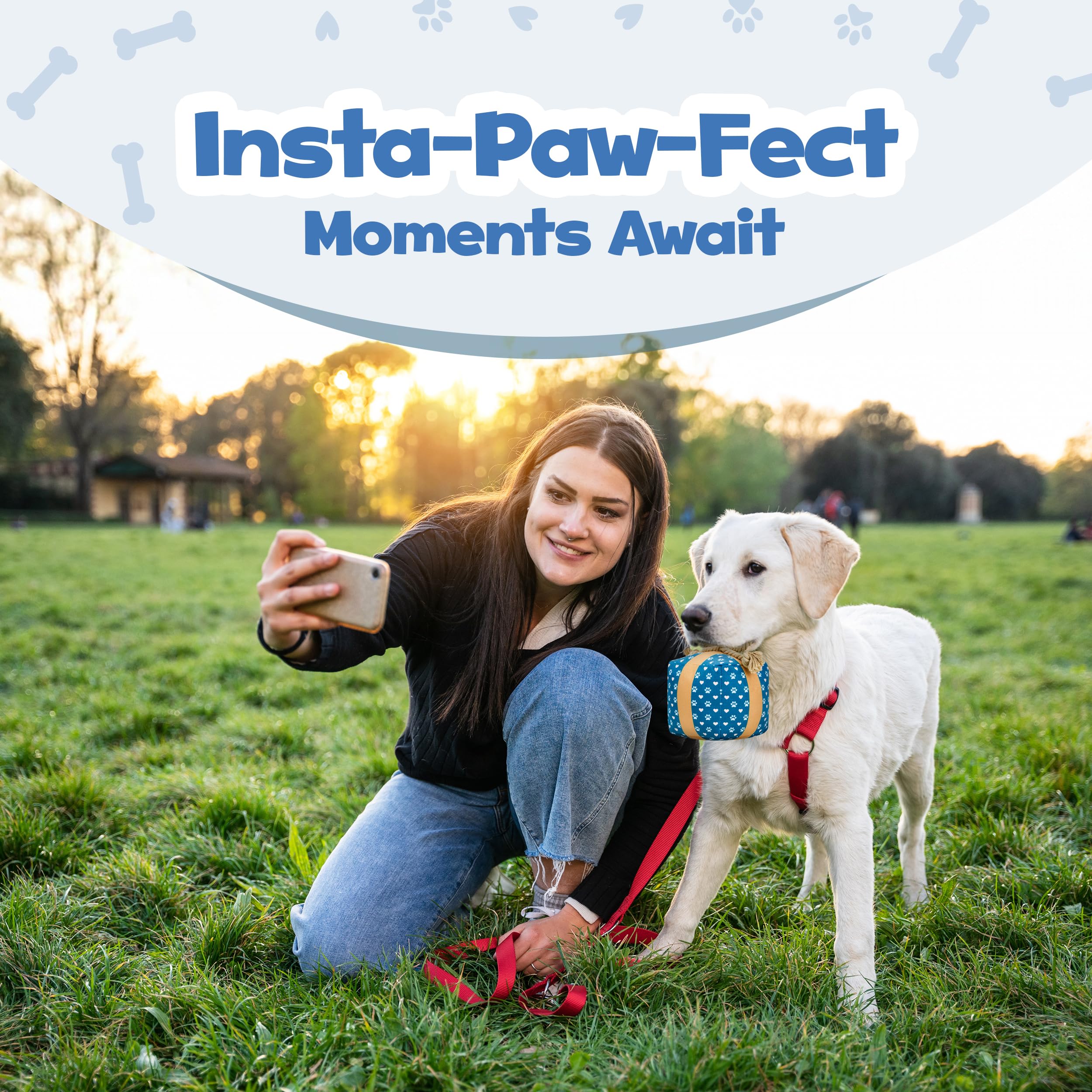 PUPROAR gift box dog toy 4x4 inch size demonstrates compact, paw-friendly design.