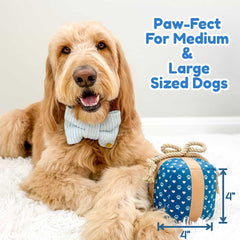 PUPROAR gift box dog toy squeaker close-up emphasizes interactive play and audible engagement.
