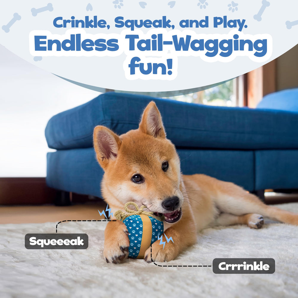 PUPROAR gift box dog toy stocked-ready image showcases perfect stocking stuffer appeal.