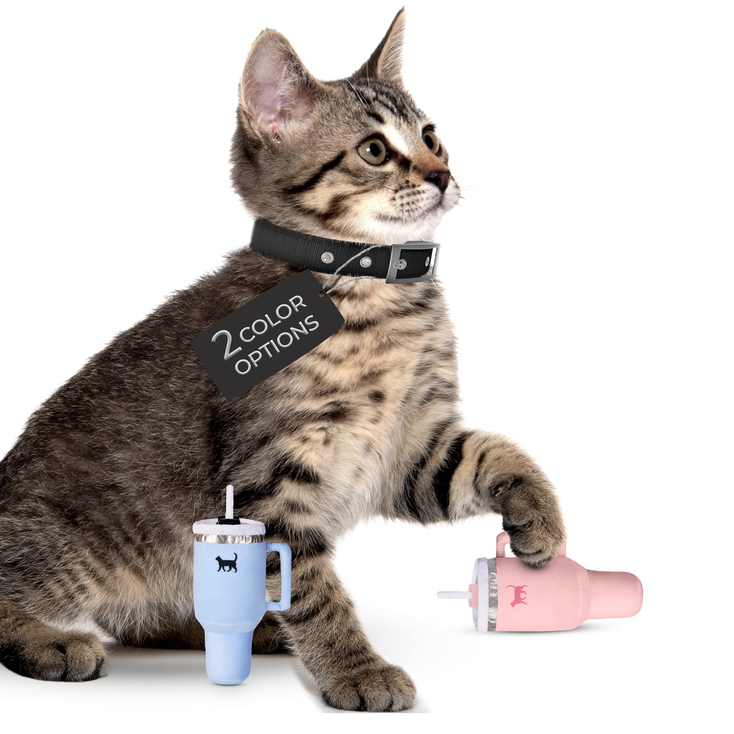 PUPROAR Kitty Cup supports safe indoor play with lightweight, easy-to-bat design