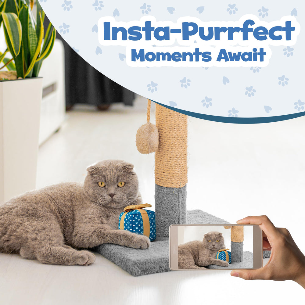 PUPROAR Playful toy image shows cats chasing, batting, carrying.