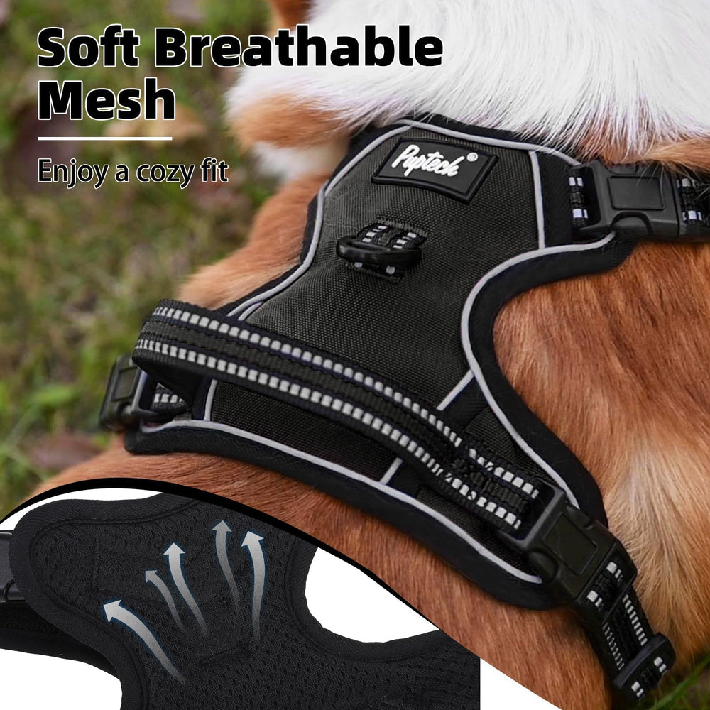 PUPTECK Adjustable four-point fit for a secure, growing dog