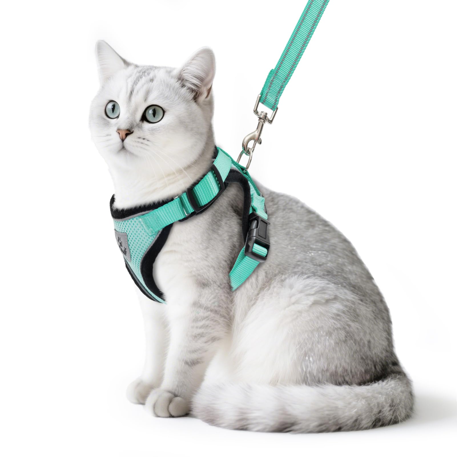 PUPTECK cat harness Aquamarine close-up shows soft breathable mesh for comfortable wear.