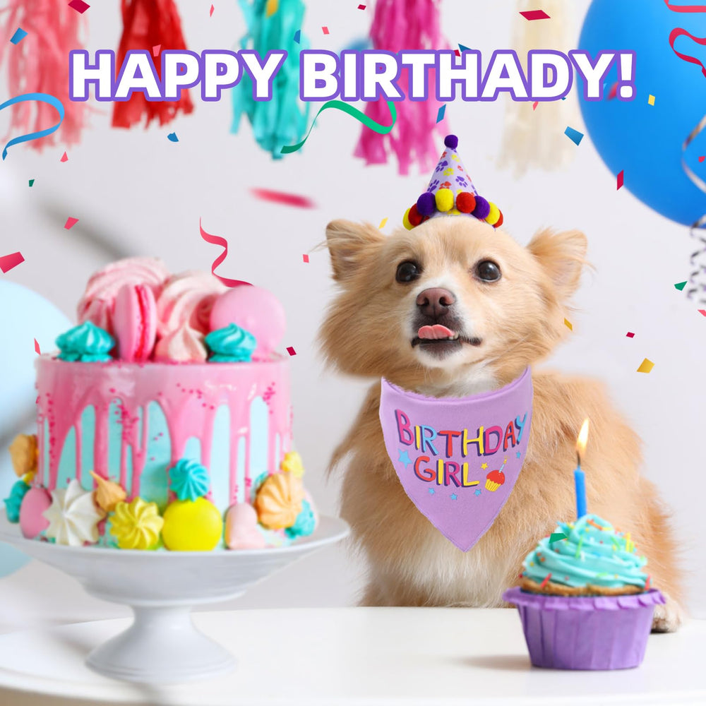 PUPTECK adjustable dog birthday hat secured under the chin for comfy wear