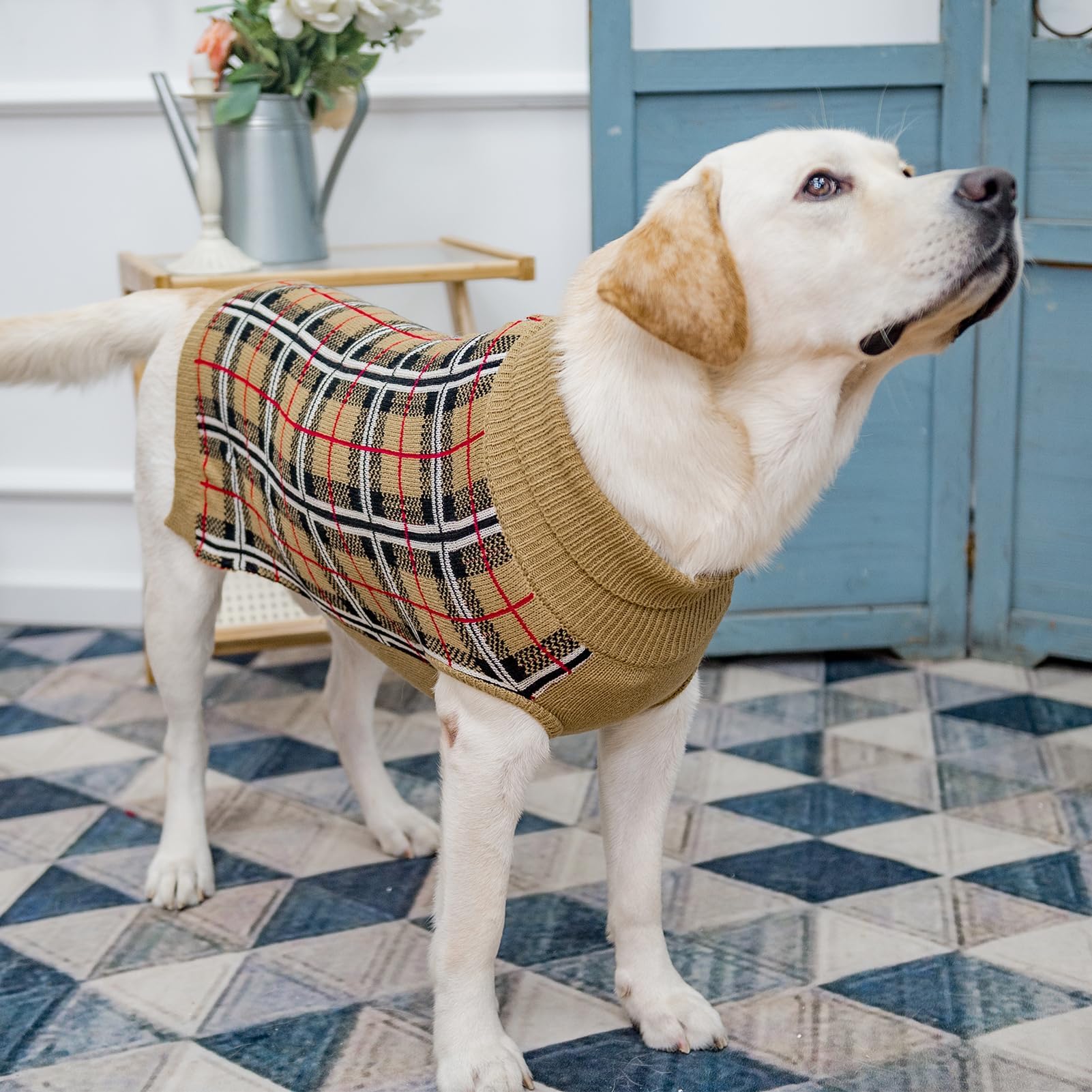 PUPTECK dog coat in action during a chilly outdoor stroll.
