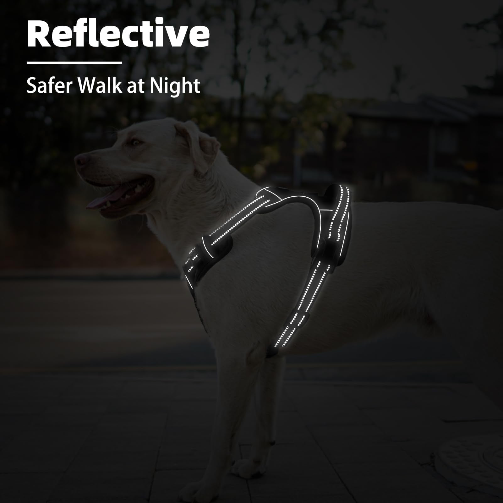 PUPTECK Sturdy top handle aids car entry and quick control