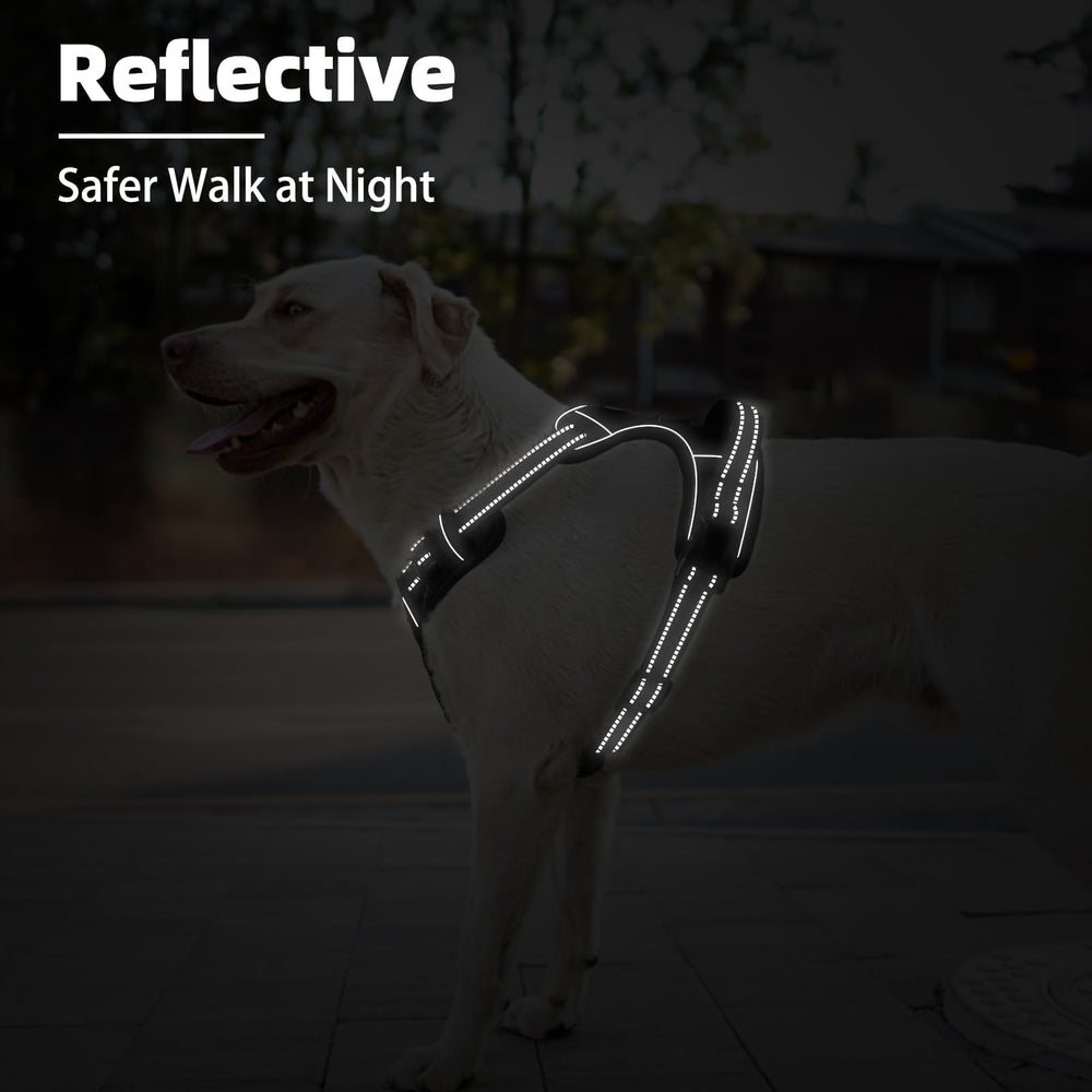 PUPTECK Sturdy top handle aids car entry and quick control