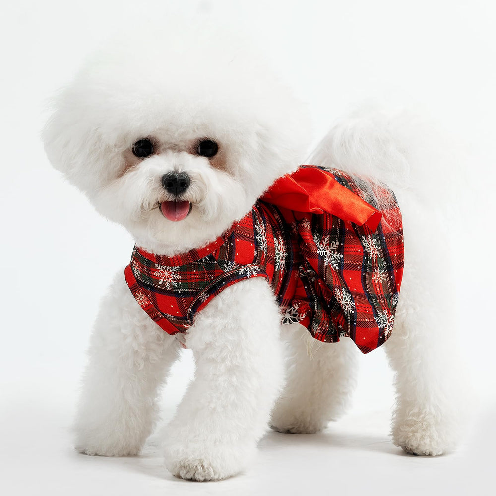 PUPTECK easy-on closure design for quick daily wear
