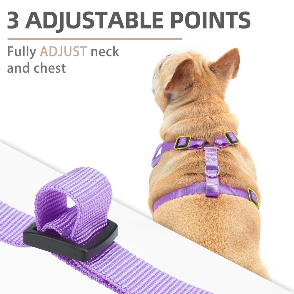 PUPTECK adjustable neck and chest harness enables snug fit for growing dogs.