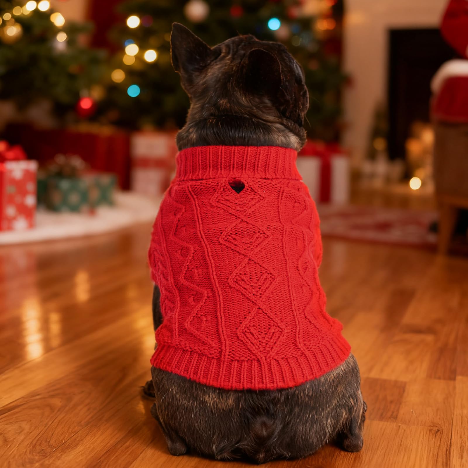 PUPTECK leash-hole-back-feature demonstrates leash integration during outdoor outings