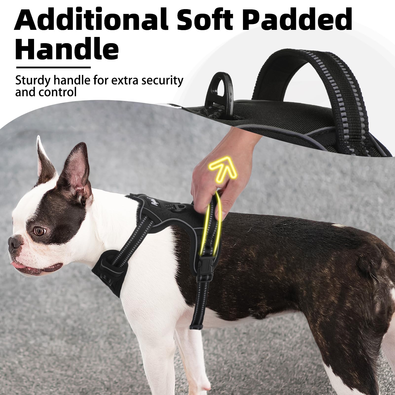 PUPTECK No-Pull Harness back D-ring for relaxed, comfortable wearing