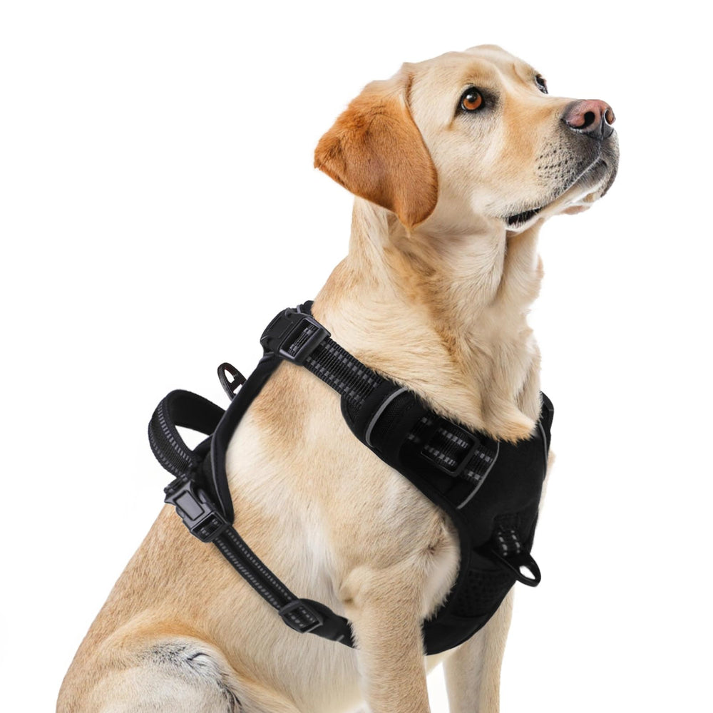 PUPTECK No-Pull Harness front D-rings for gentle control during walks