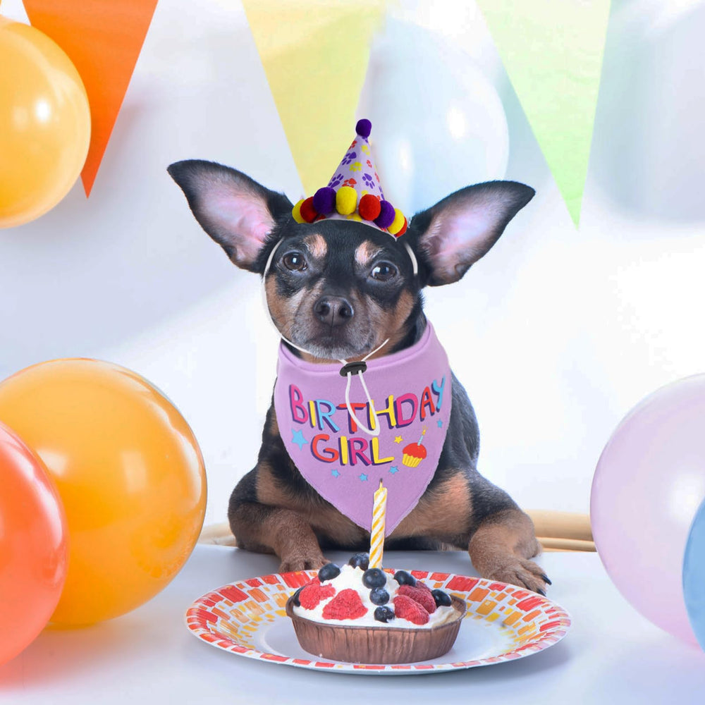 PUPTECK packaging includes bandana and hat for easy gifting