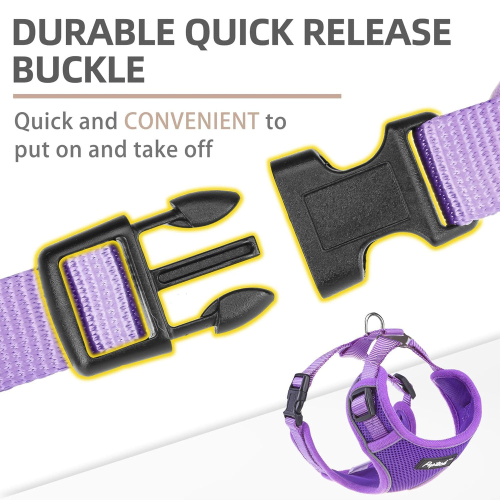 PUPTECK reflective night-strip enhances visibility for safer evening walks.