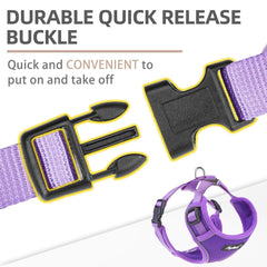 PUPTECK reflective night-strip enhances visibility for safer evening walks.