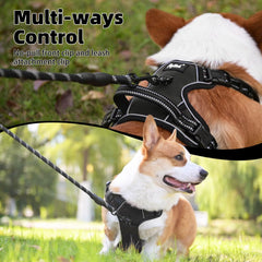 PUPTECK Reflective safety strip for higher visibility on night walks