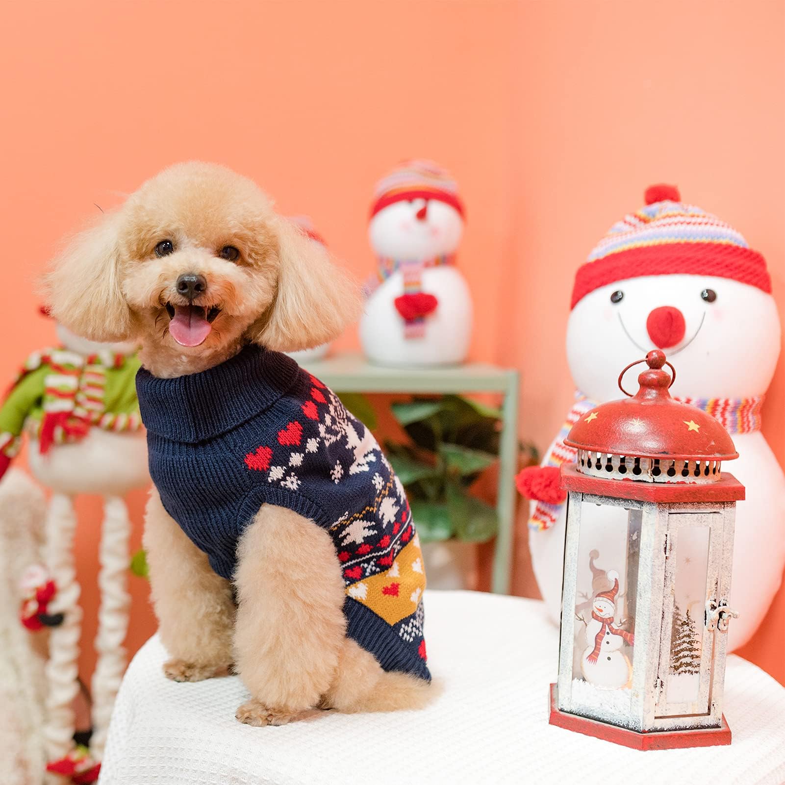 PUPTECK size-chart guide helps you pick the right coat fit.