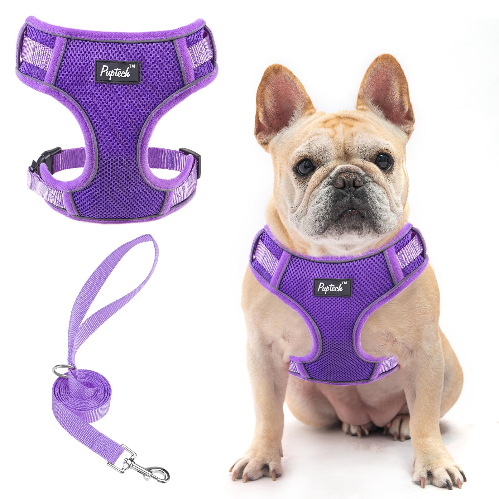PUPTECK small dog harness demonstrates lightweight daily comfort for walks.