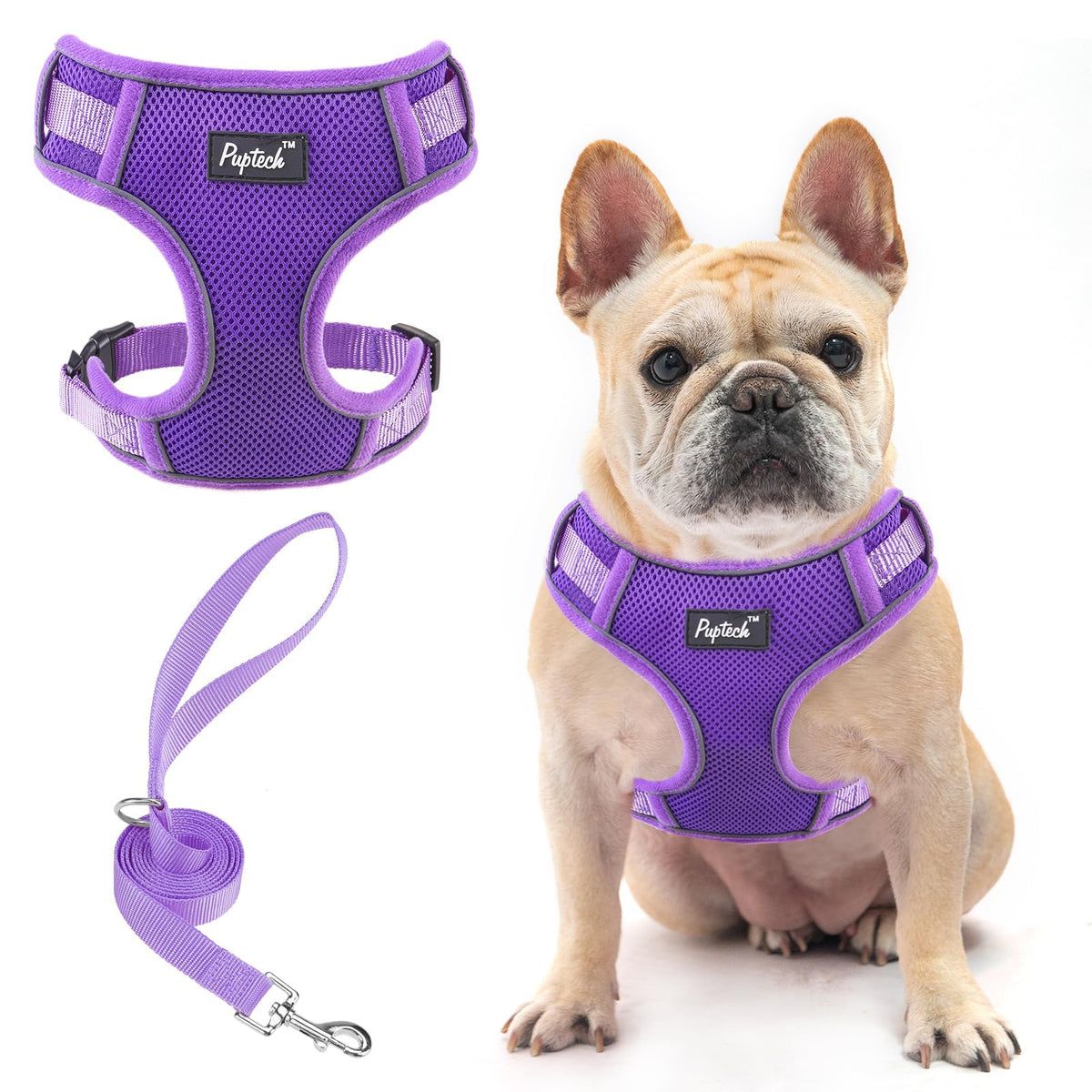 PUPTECK small dog harness demonstrates lightweight daily comfort for walks.