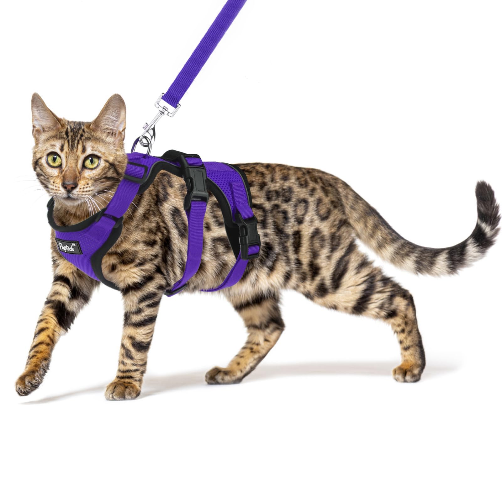 PUPTECK cat harness escape-proof back view for secure outdoor walks.