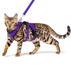 PUPTECK cat harness escape-proof back view for secure outdoor walks.