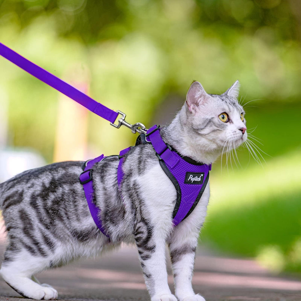PUPTECK quick-release buckles enable fast on-off harnessing.