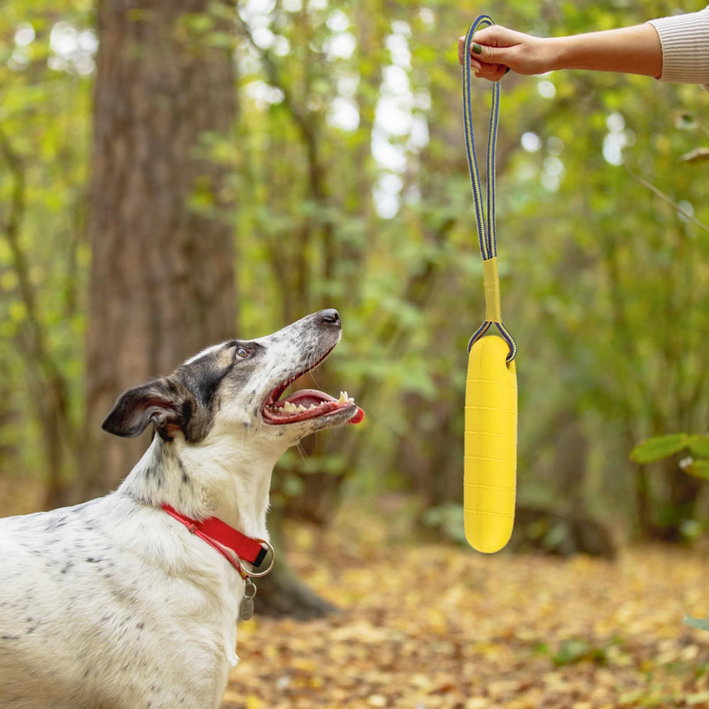 PUPTECK bright yellow-orange pool toy helps locate during outdoor play