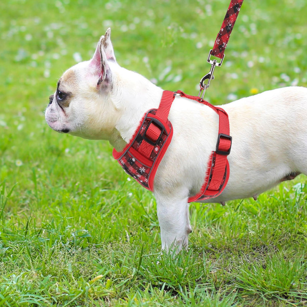 PUPTECK Christmas harness night visibility with reflective strips