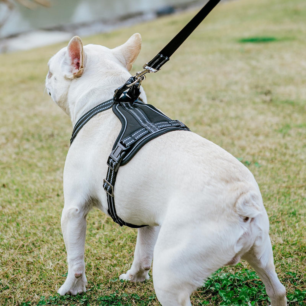 PUPTECK harness small all-weather comfort suitable for year-round use.