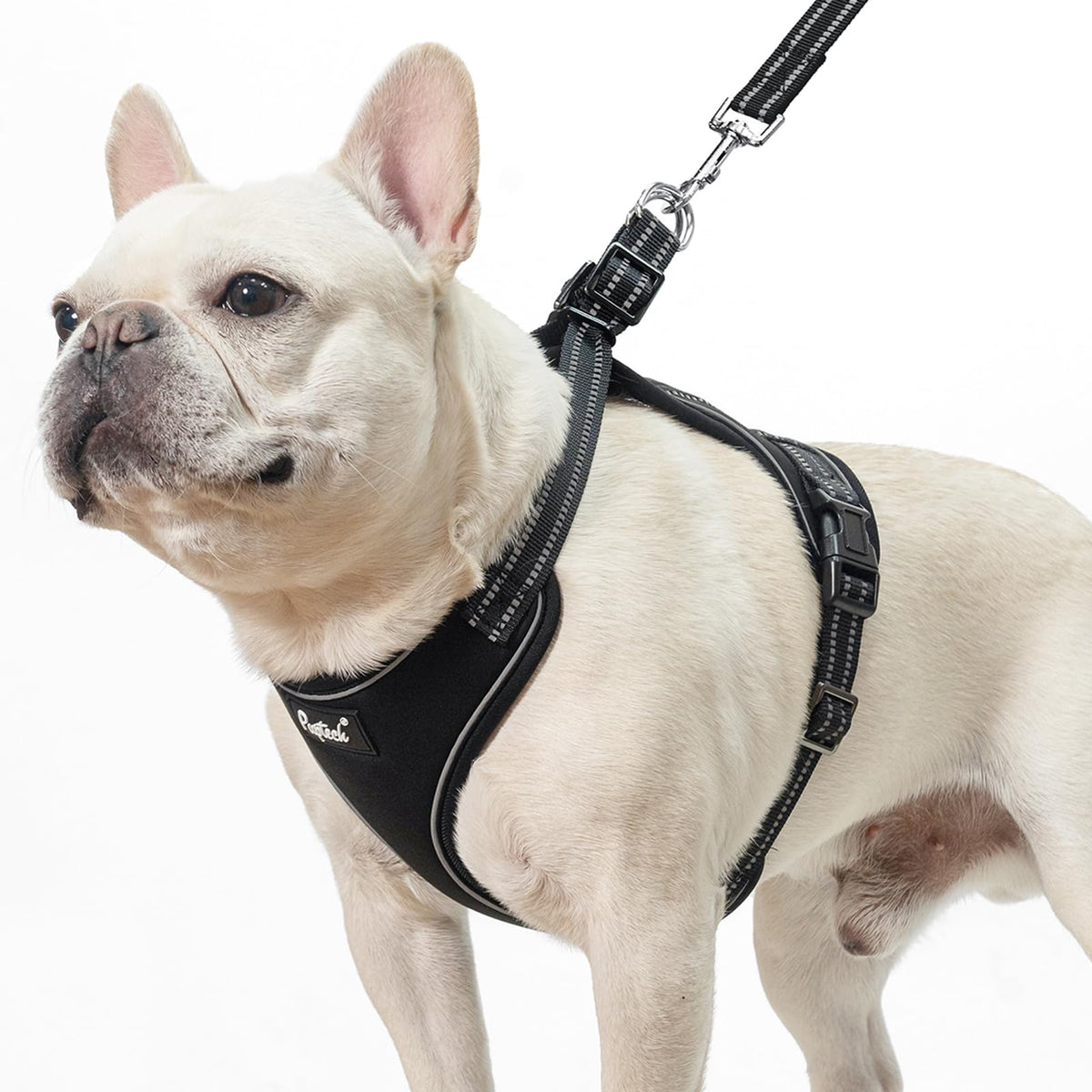 PUPTECK dog harness small front view showing comfortable, no-pull design for everyday walks.