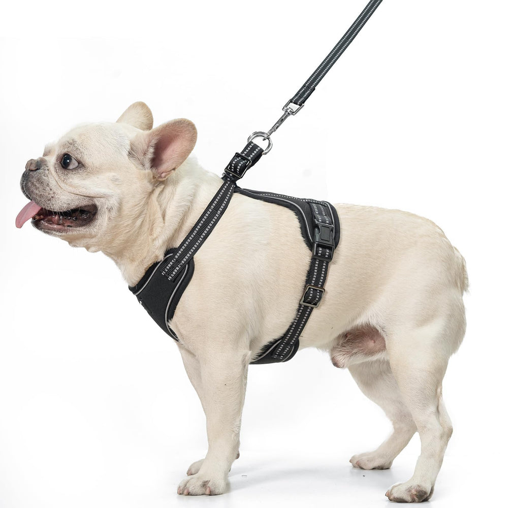 PUPTECK harness small size guide image helping you pick the right fit.