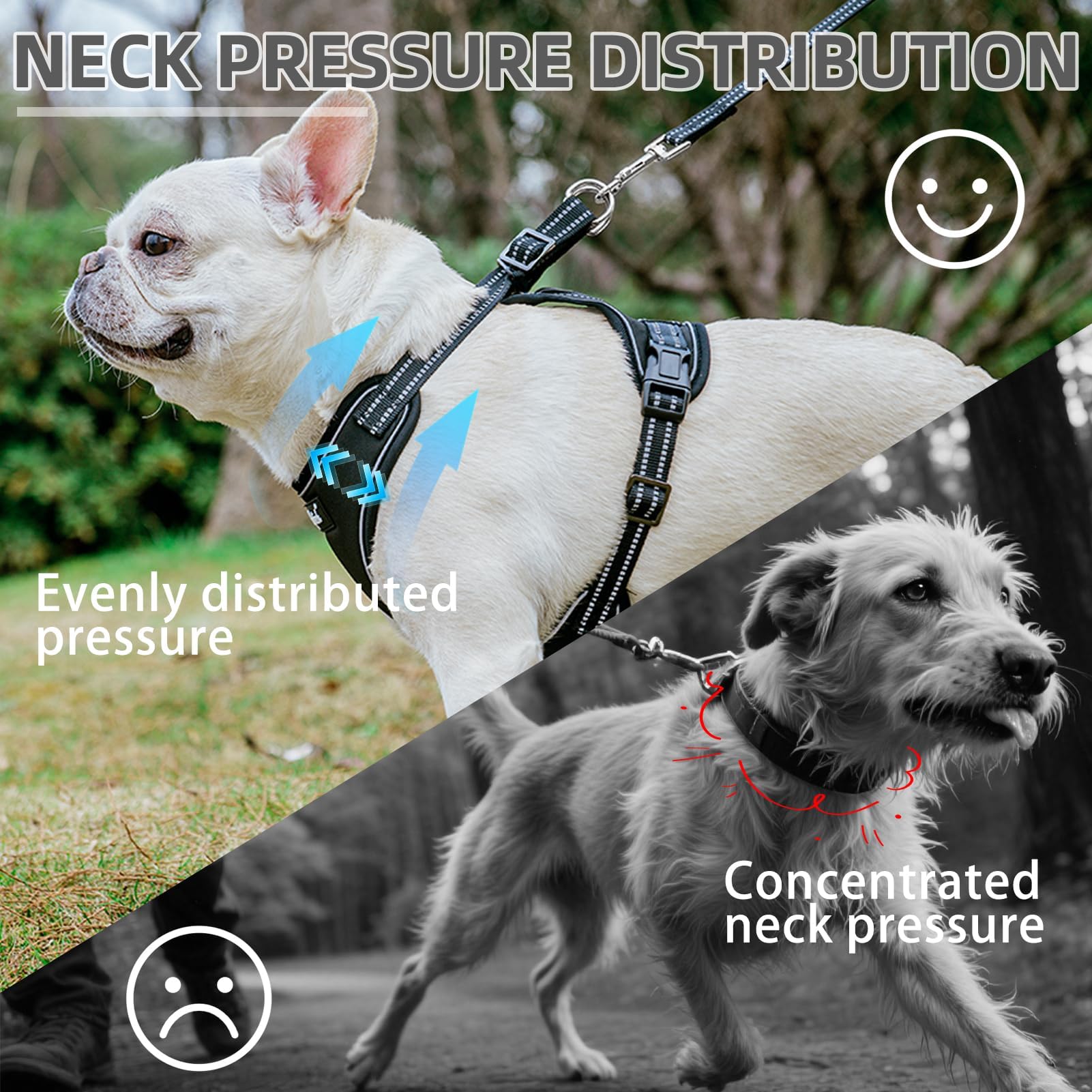 PUPTECK dog leash set small durable buckle for secure control during training.