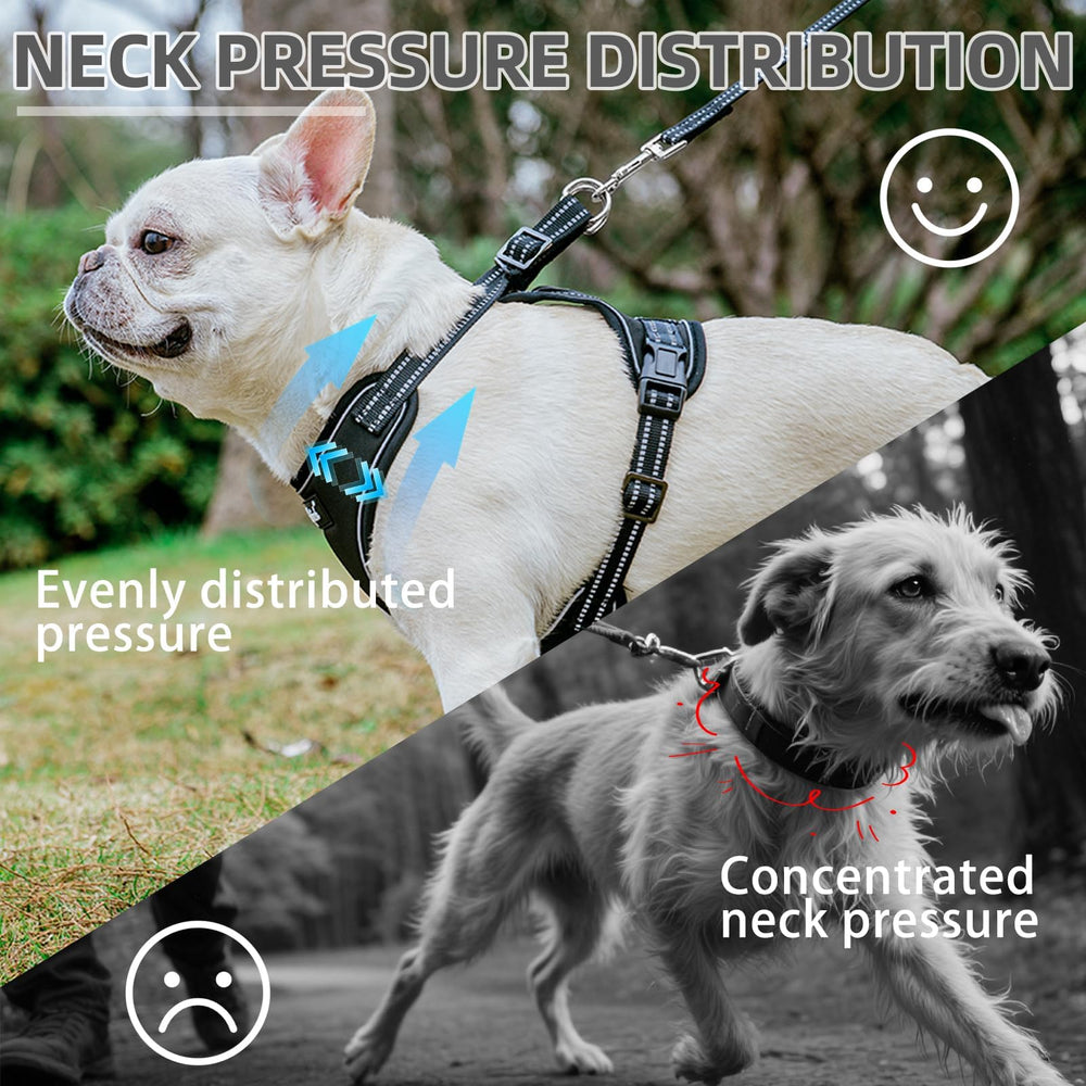 PUPTECK dog leash set small durable buckle for secure control during training.