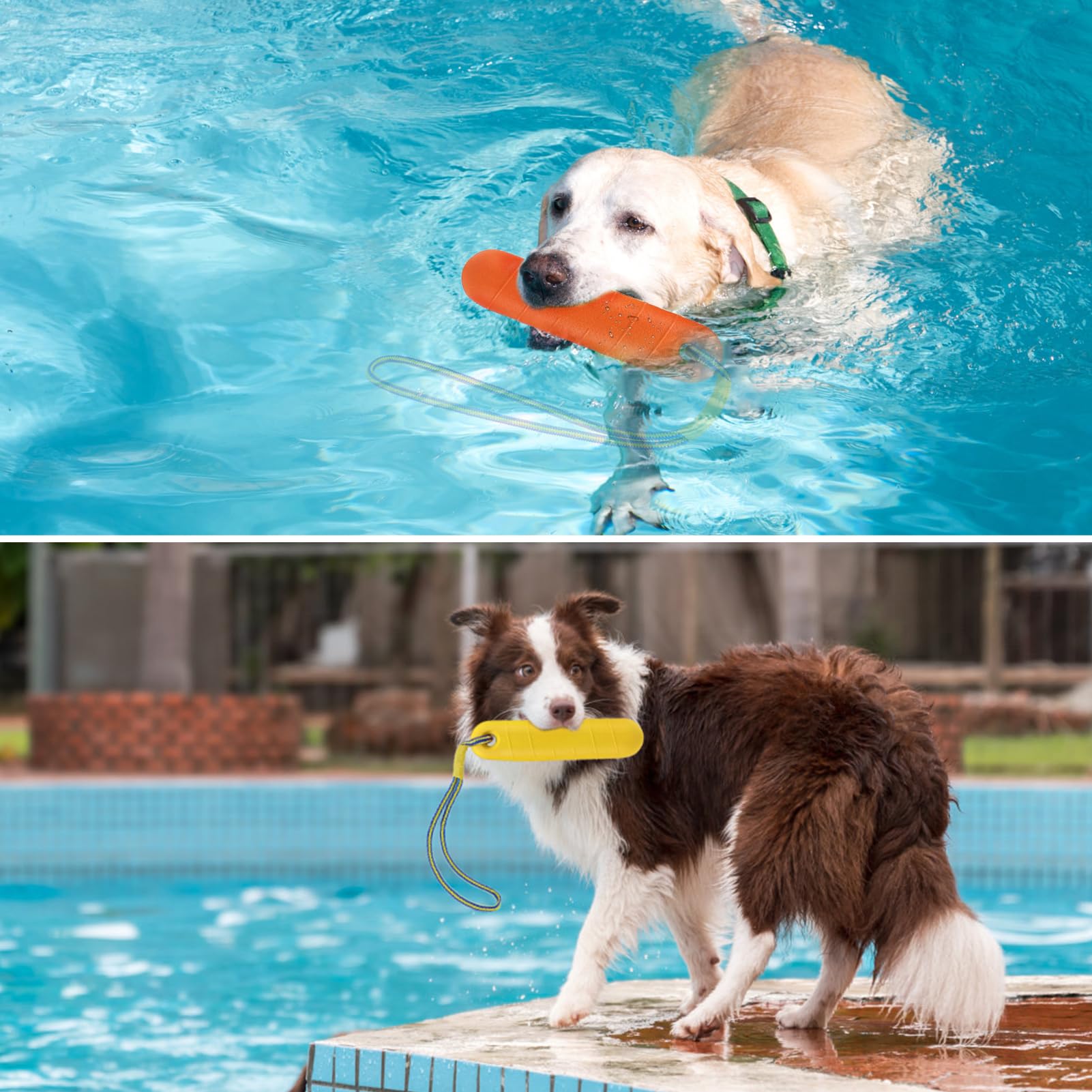 PUPTECK dog-training toy land orange rope for quick reaction drills