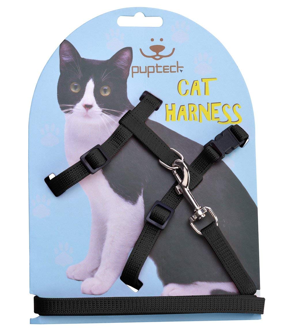 PUPTECK adjustable cat harness demonstrates secure fit for outdoor exploration.