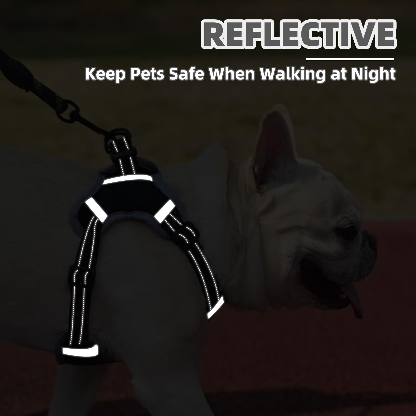 PUPTECK arnés de uso diario ideal para entrenamiento y paseo