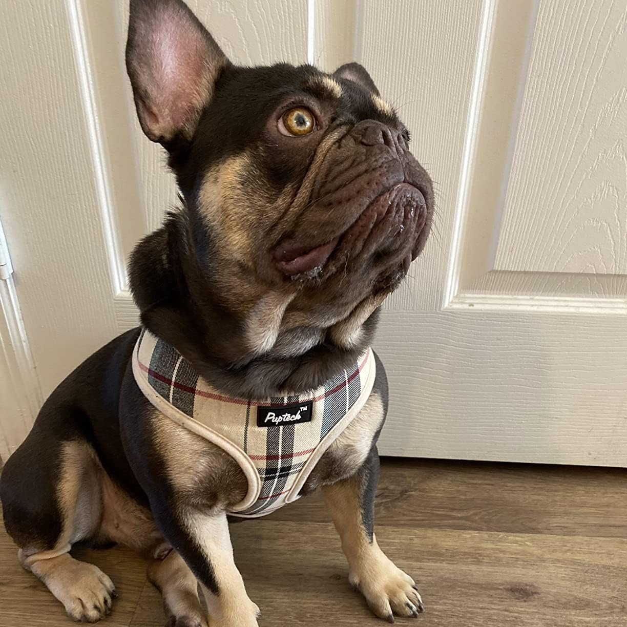 PUPTECK beige dog harness with size chart aids proper fit.