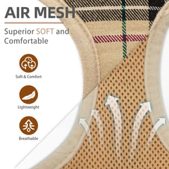 PUPTECK breathable air-mesh harness provides lightweight comfort during active play.