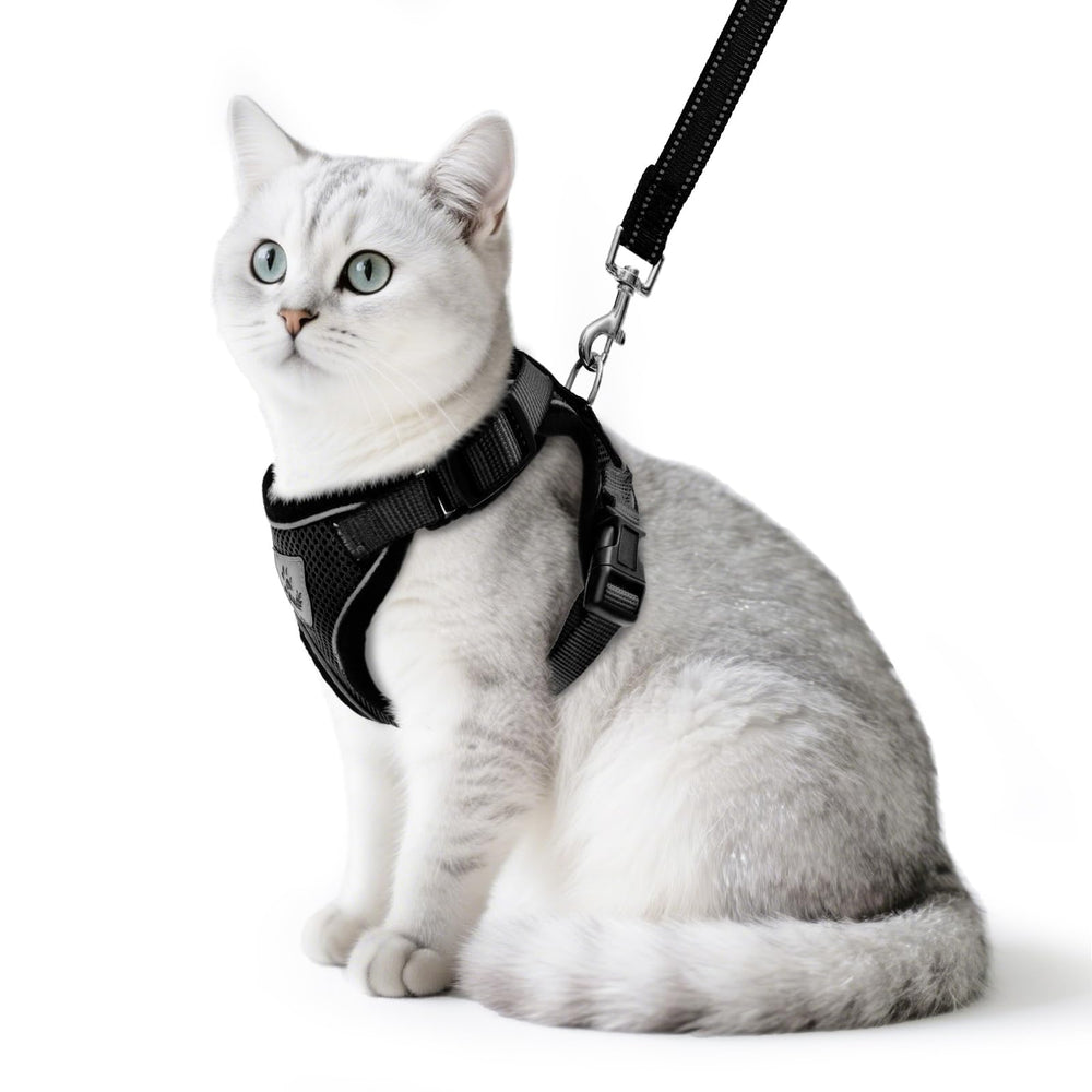 PUPTECK cat harness and leash set escape-proof design for outdoor adventures