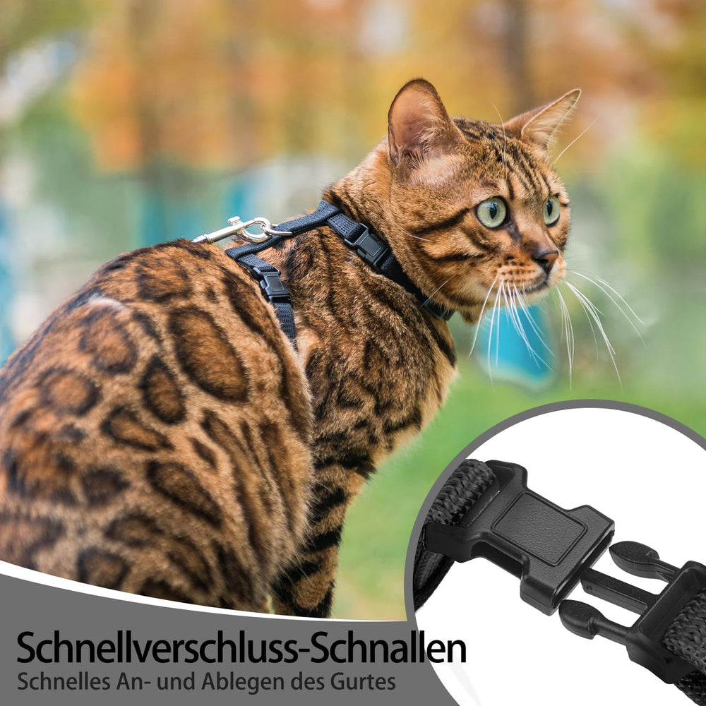 PUPTECK cat-leash-escape-proof highlights secure restraint during outdoor walks.