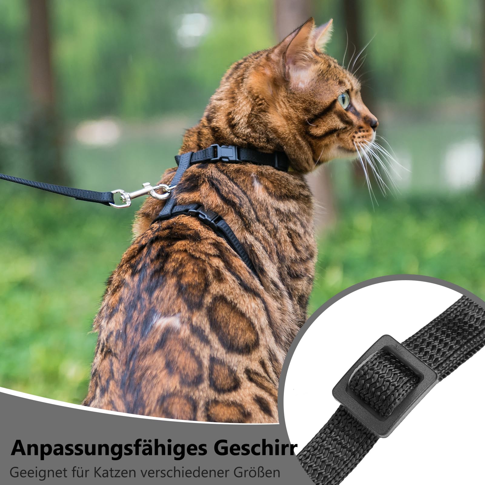 PUPTECK cat-walking-daily-use setup supports versatile outdoor time.