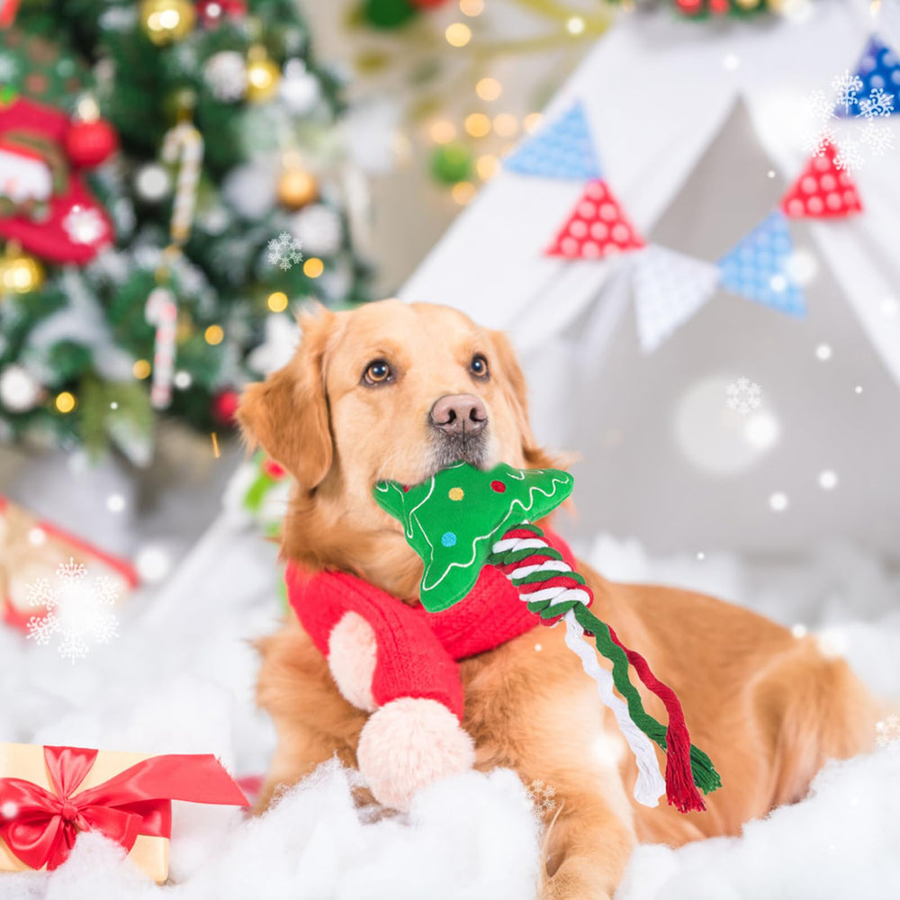PUPTECK dogs playing with squeaky toys during holiday fun