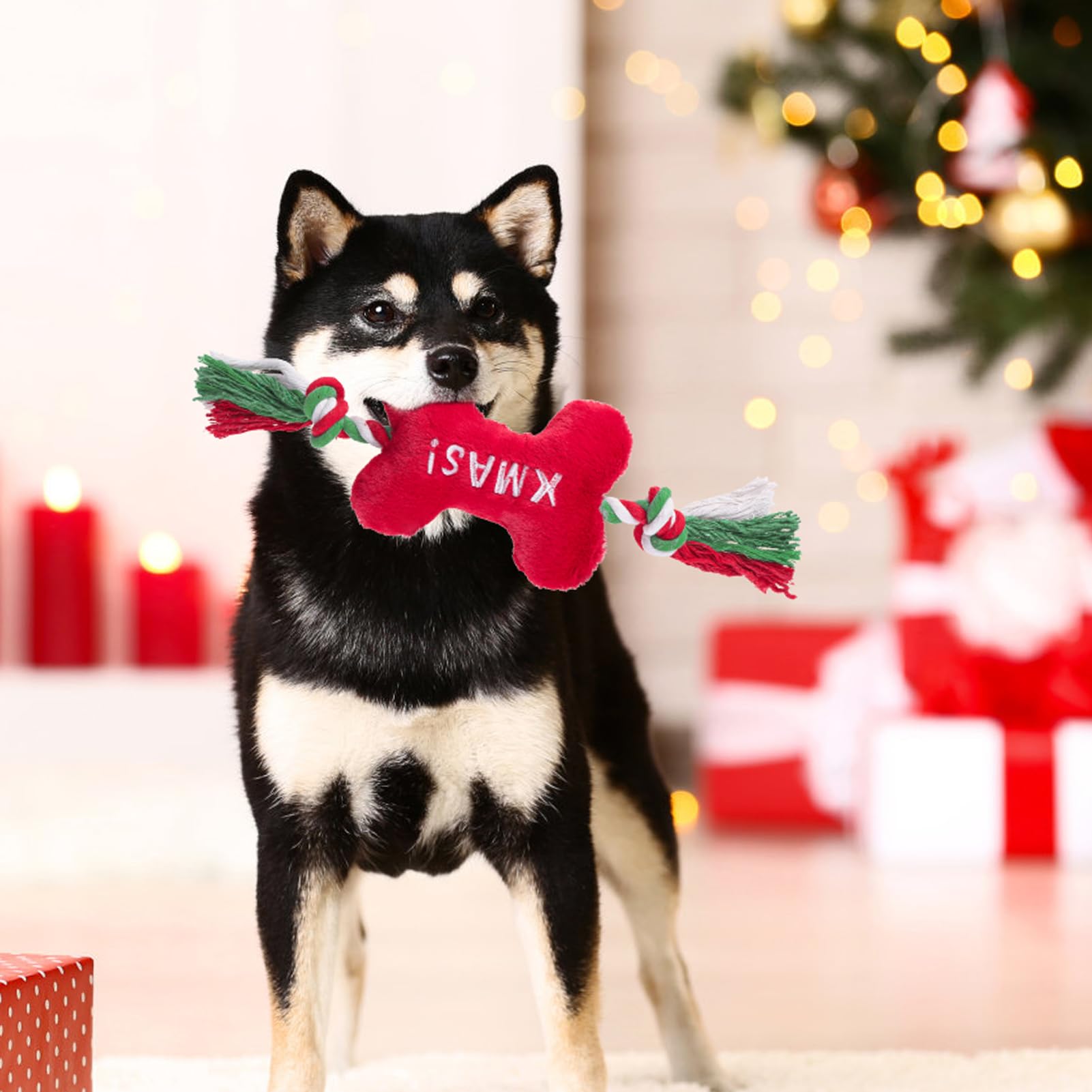 PUPTECK three-pack Christmas squeaky toys for puppy playtime