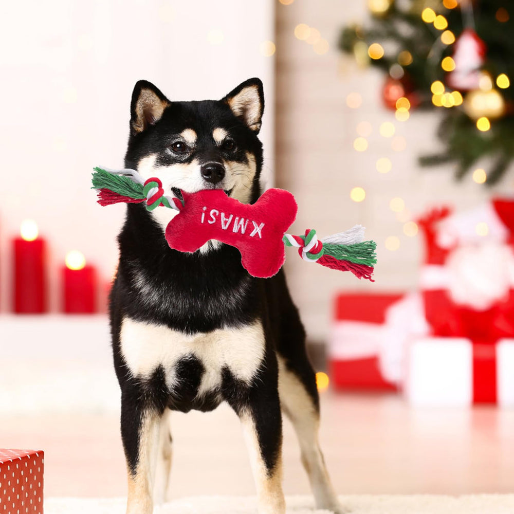 PUPTECK three-pack Christmas squeaky toys for puppy playtime
