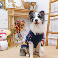 PUPTECK Christmas dog sweater side view highlighting snug knit for walks
