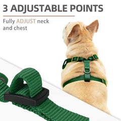 PUPTECK harness adjustment diagram shows easy fit and growth room