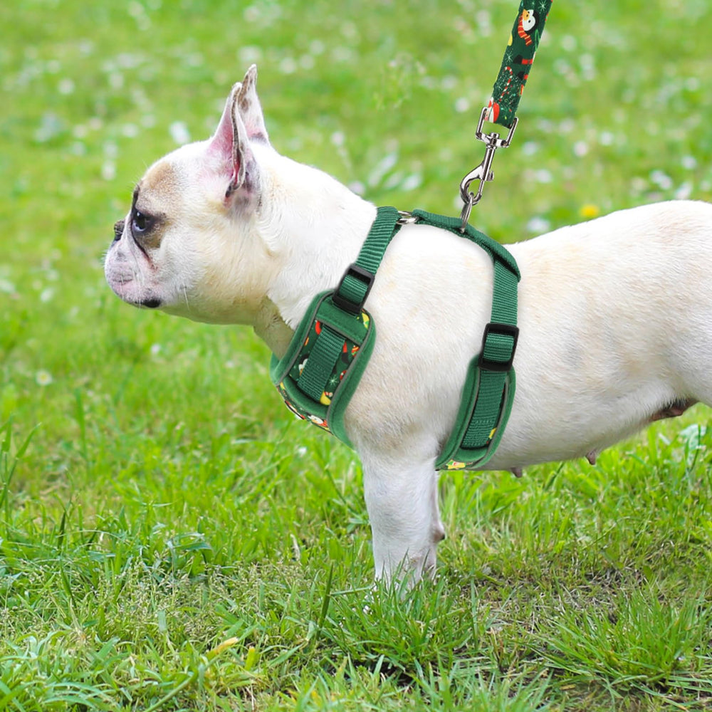 PUPTECK harness D-ring leash connection ensures sturdy, stable control