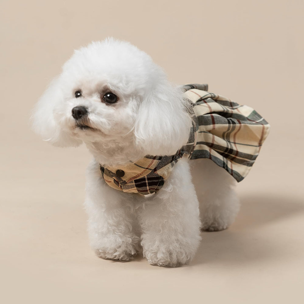 PUPTECK Plaid dress worn by a small dog at home.